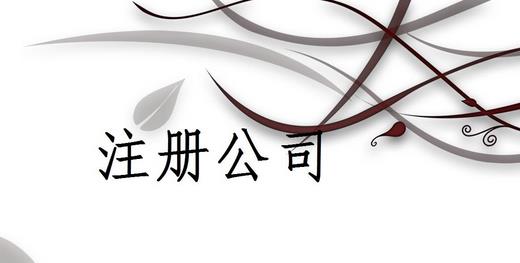 注冊公司為什么推薦找代理注冊公司的機(jī)構(gòu)呢？
