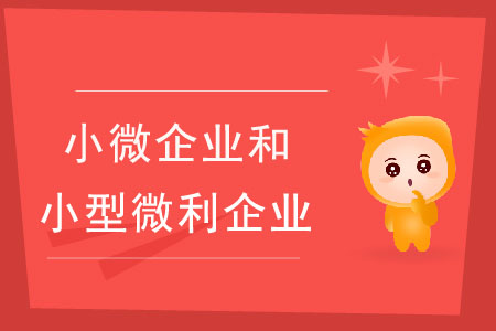 小微企業(yè)和小型微利企業(yè)有什么區(qū)別？