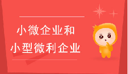 小微企業(yè)和小型微利企業(yè)有什么區(qū)別？