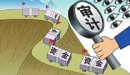 公司審計(jì)是什么,一般有哪幾種？